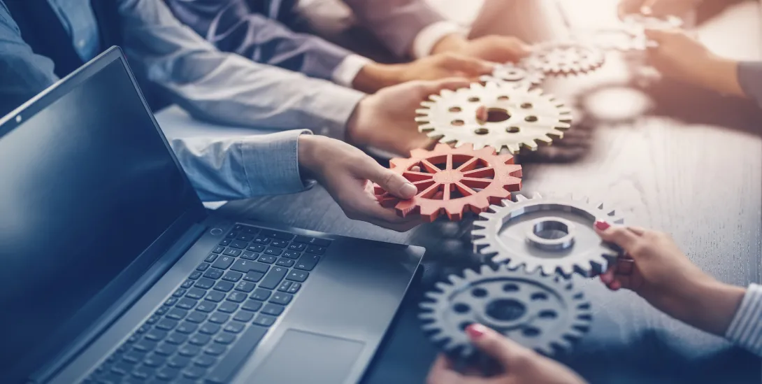 Business & IT Management Consultants